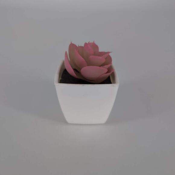Mini Fake Faux Artificial Pink Succulent Potted Plant in Plastic White Pot - GUC - Picture 5 of 9
